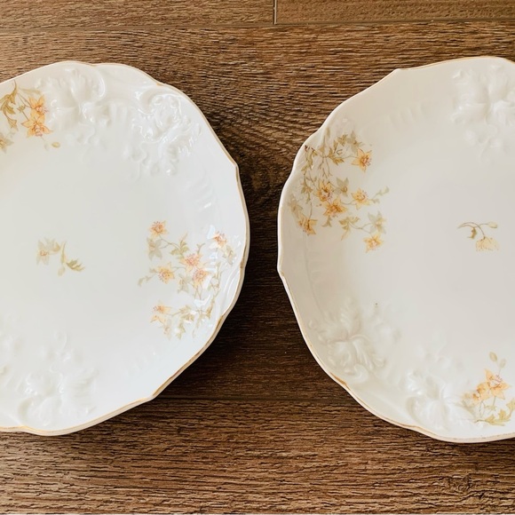 Vintage Carlsbad Plates From Austria - Picture 7 of 9